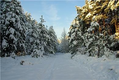 自动化城市建造游戏《梦幻引擎：游牧城市》现已在Steam平台正式推出 获多半好评