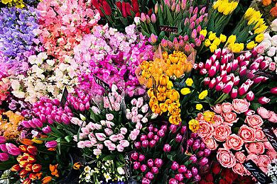 《天国：拯救2》实体典藏版公开 非常有中世纪风格